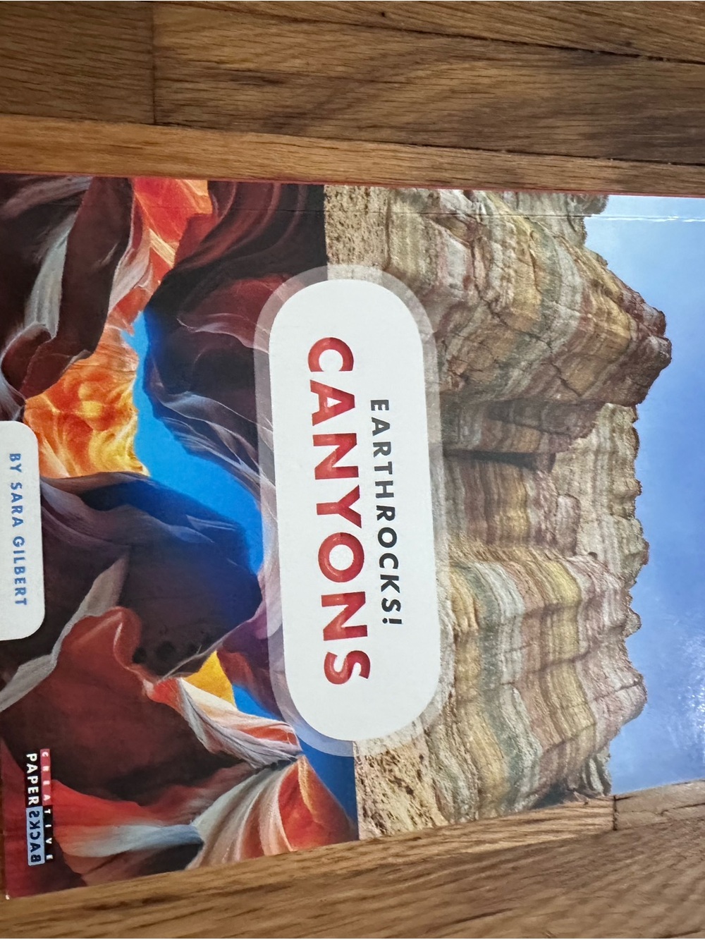 CANYONS Earbuds - Red/Orange Design
